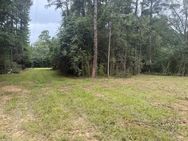 12293 Highway 40 Highway, Folsom, LA 70437 - #1