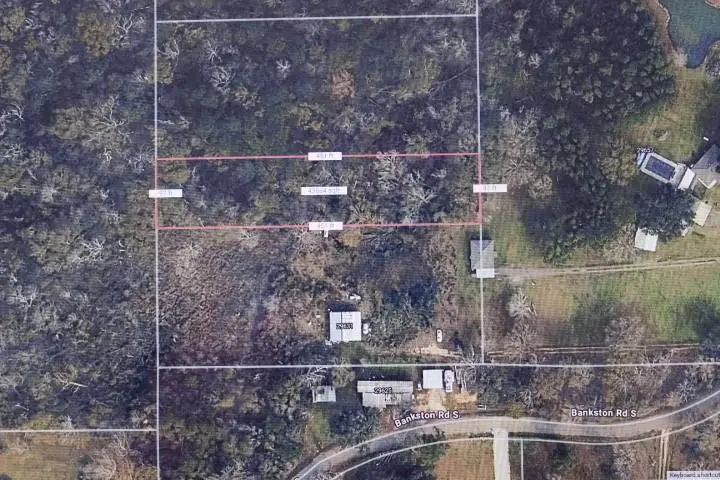 Lot 4 Bankston Road, Albany, LA 70711 - #1