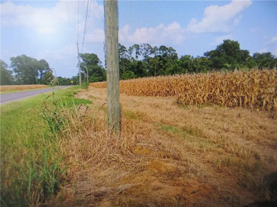 TBD Hot Wells Road, Boyce, LA 71409 - #3