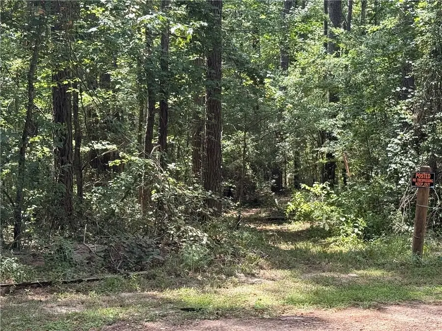 0 Lake Road, Dry Prong, LA 71423 - #3