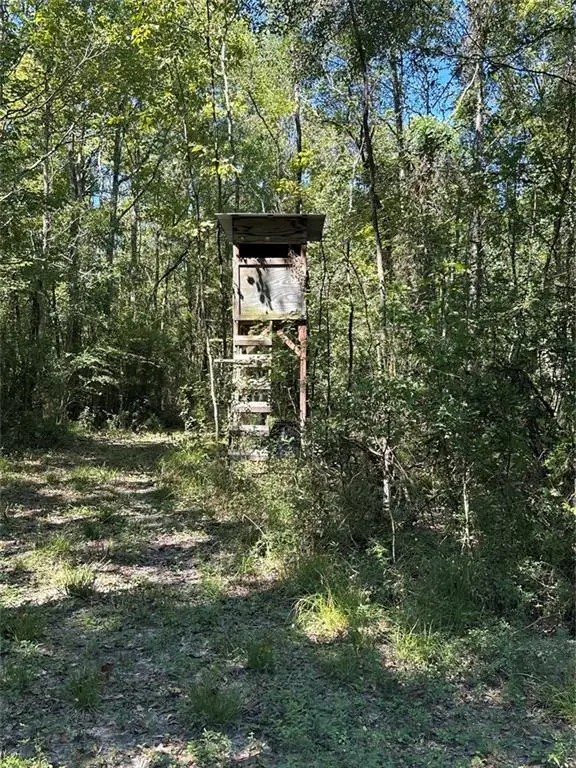 Port Hudson-pride Rd Road, Zachary, LA 70791 - #2