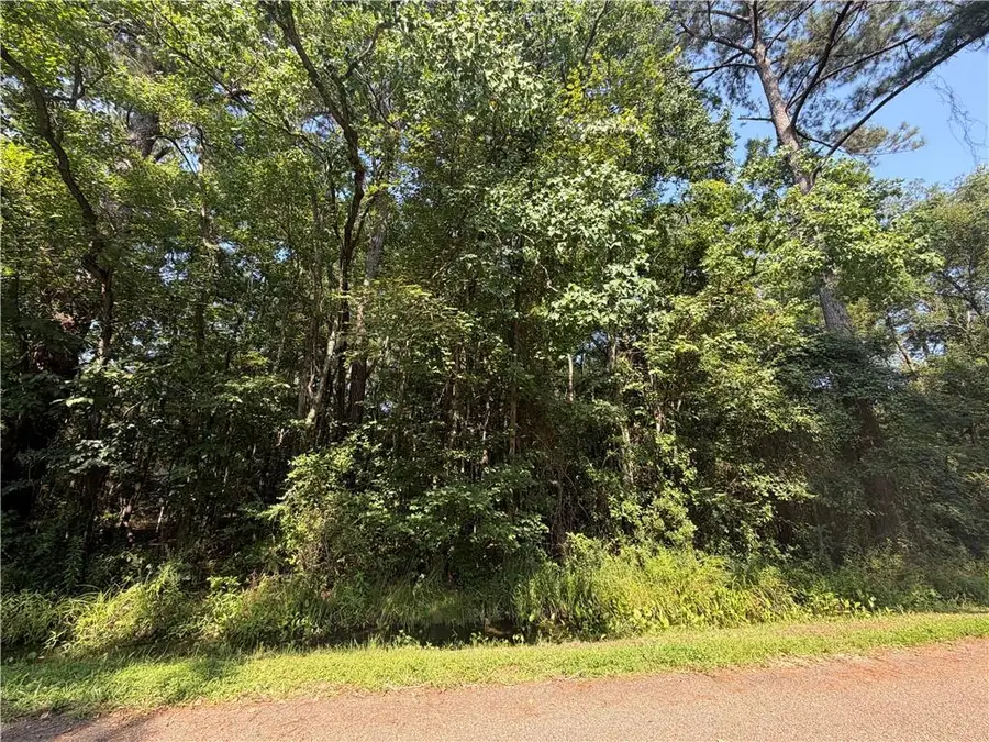 Lot #31 Goldfinch Street, Covington, LA 70435 - #3