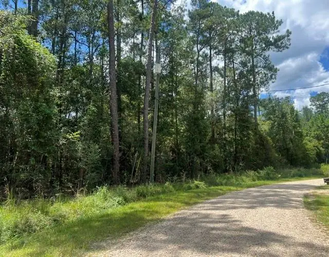 0 Mashie Street, Abita Springs, LA 70420 - #2