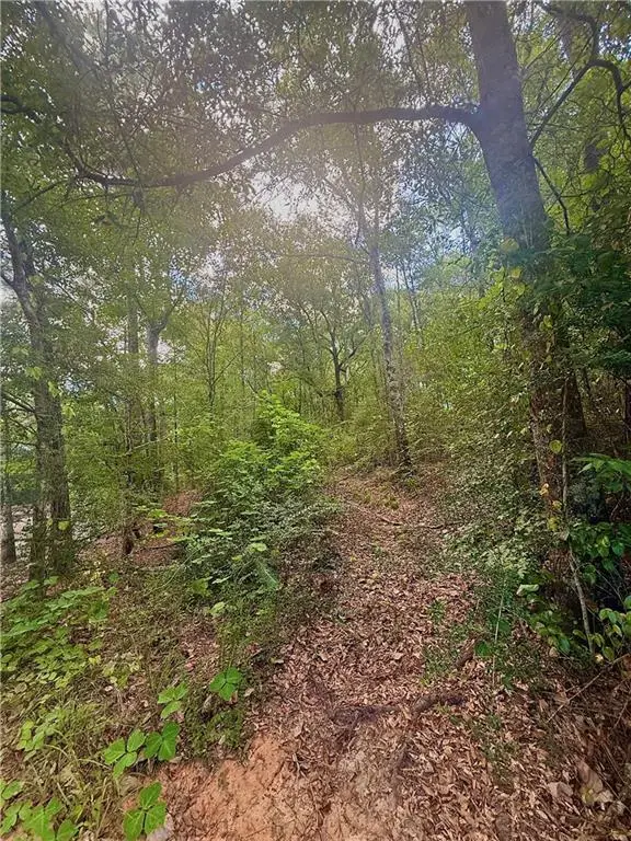 TBD 21 Acres Hwy 430 Highway, Franklinton, LA 70438