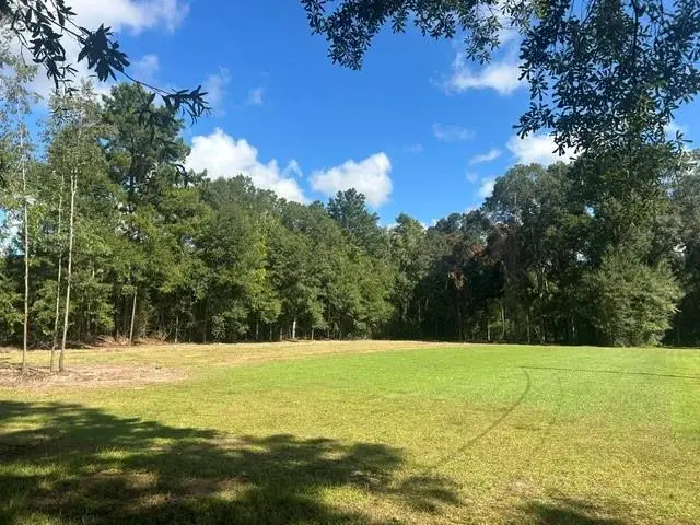Stepp Road, Robert, LA 70455 - #1