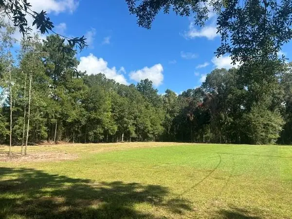 Stepp Road, Robert, LA 70455