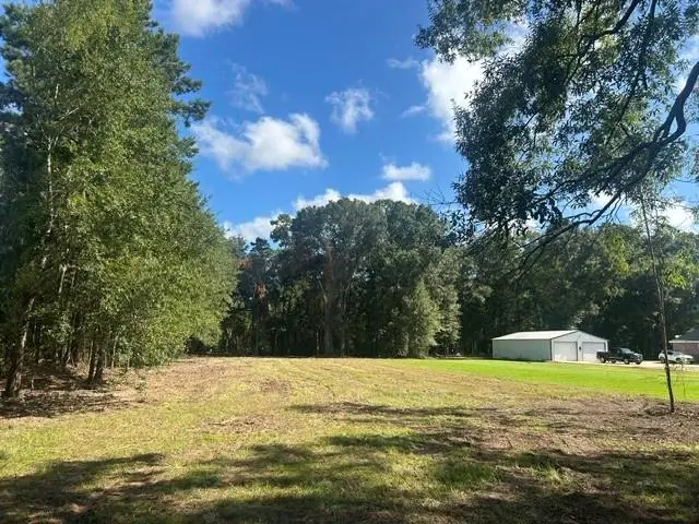 Stepp Road, Robert, LA 70455 - #3