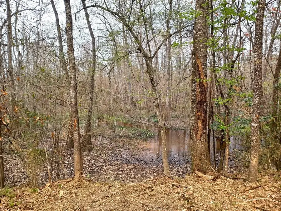 14071 Cypress Crest Lane, Ponchatoula, LA 70454 - #3