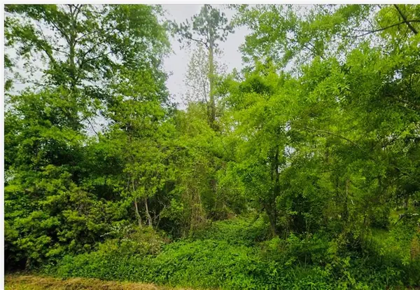 Lot 67/68 Magnolia Drive, Ponchatoula, LA 70454