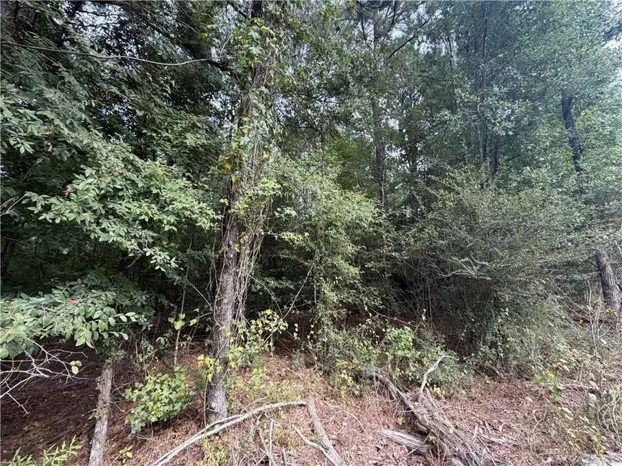 0 Hwy 487 Highway, Marthaville, LA 71450 - #3