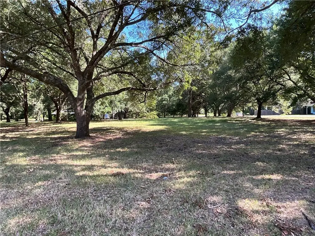 0 Henry (lot 13,14 Street, Marksville, LA 71351 - #1