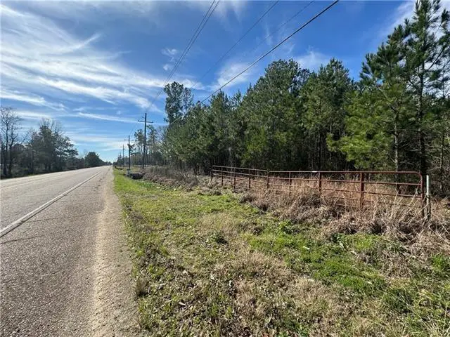 52181 Hwy 51, Independence, LA 70443 - #1