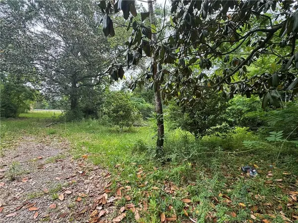 TBD Highway 165 Highway, Glenmora, LA 71433
