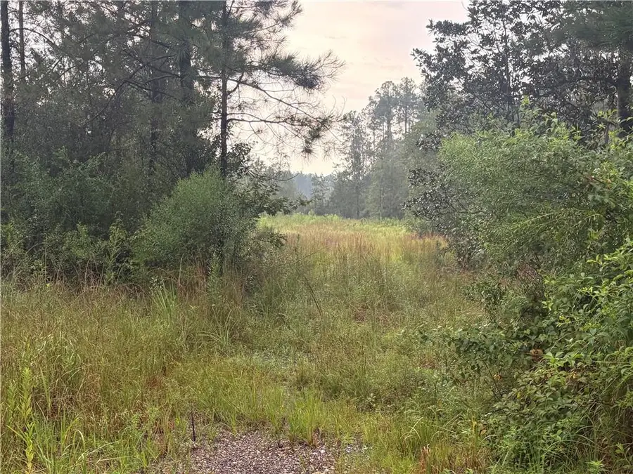 78257 Highway 21 Highway, Bush, LA 70431 - #2