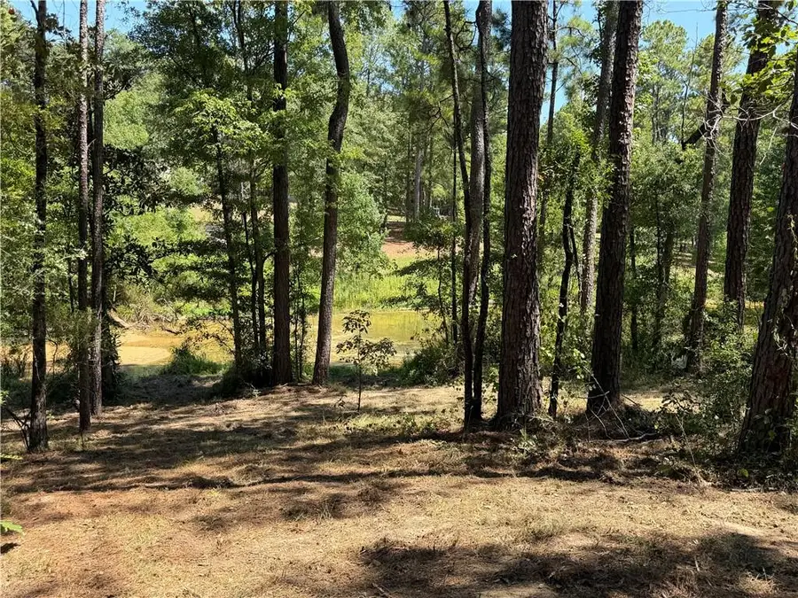 0 Adams Path, Pineville, LA 71360 - #2