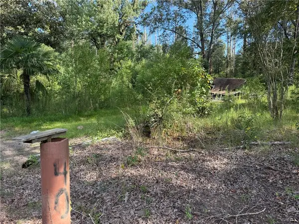 40 Lee Reeves Road, Deville, LA 71328