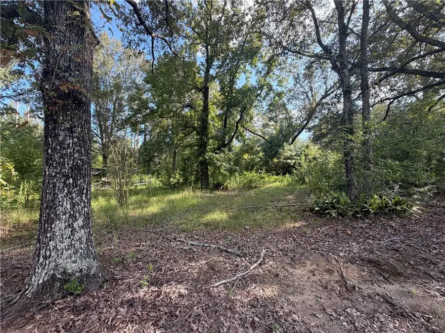 40 Lee Reeves Road, Deville, LA 71328 - #3