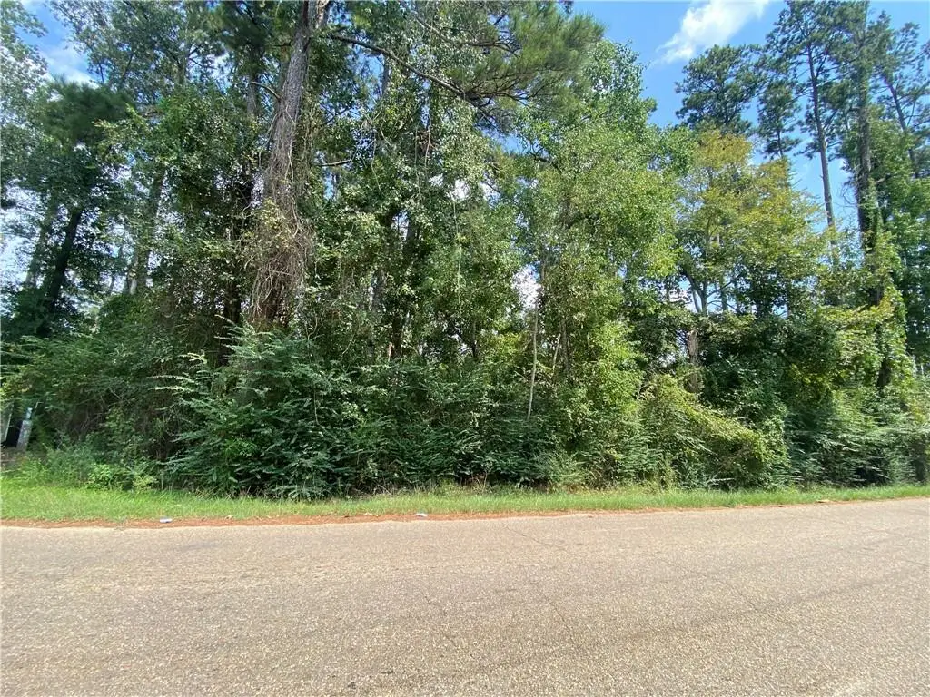 TBD Leonard Chapel Road, Amite, LA 70422 - #1