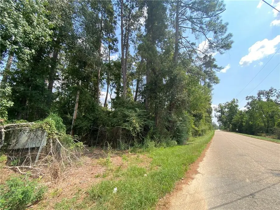 TBD Leonard Chapel Road, Amite, LA 70422 - #2