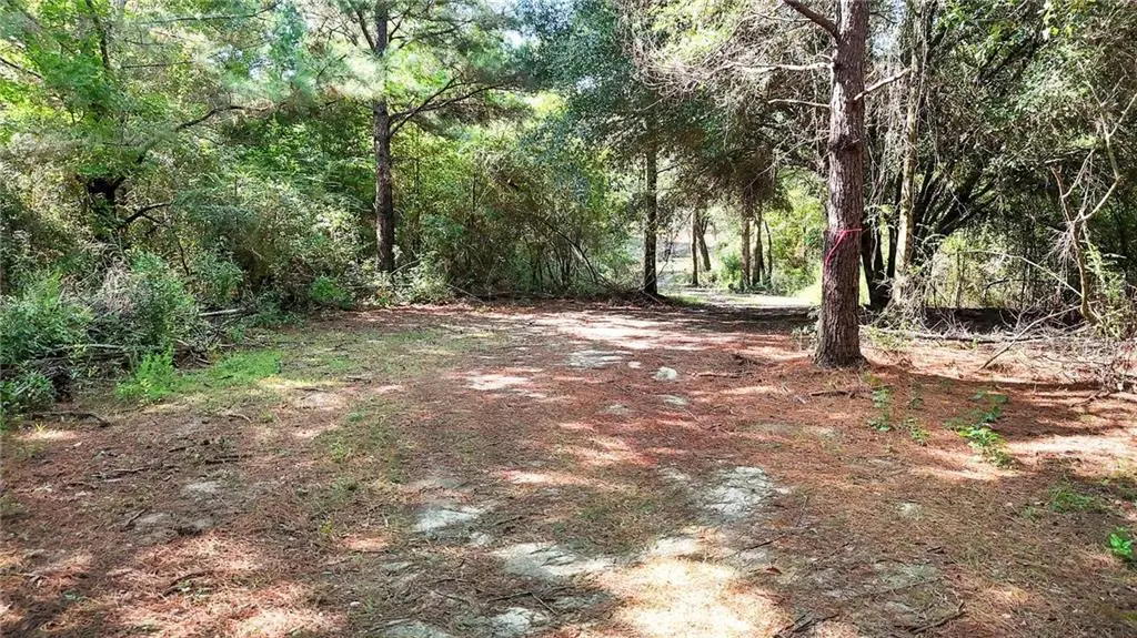 50.36 acres E Hwy 16 Road, Amite, LA 70422 - #1