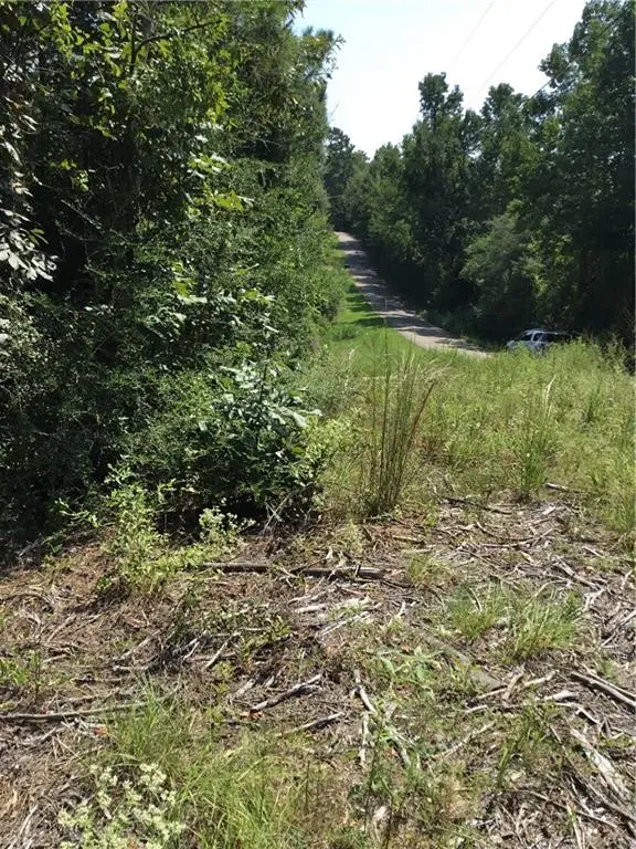 29637 Roscoe Dillon Road, Franklinton, LA 70438