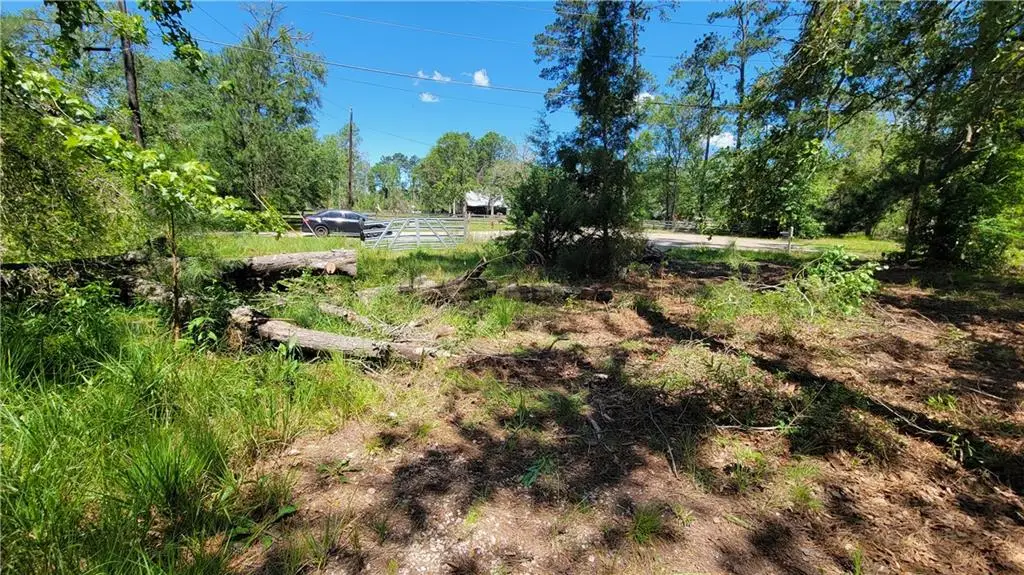 26140 Oak Alley Drive, Holden, LA 70744 - #1