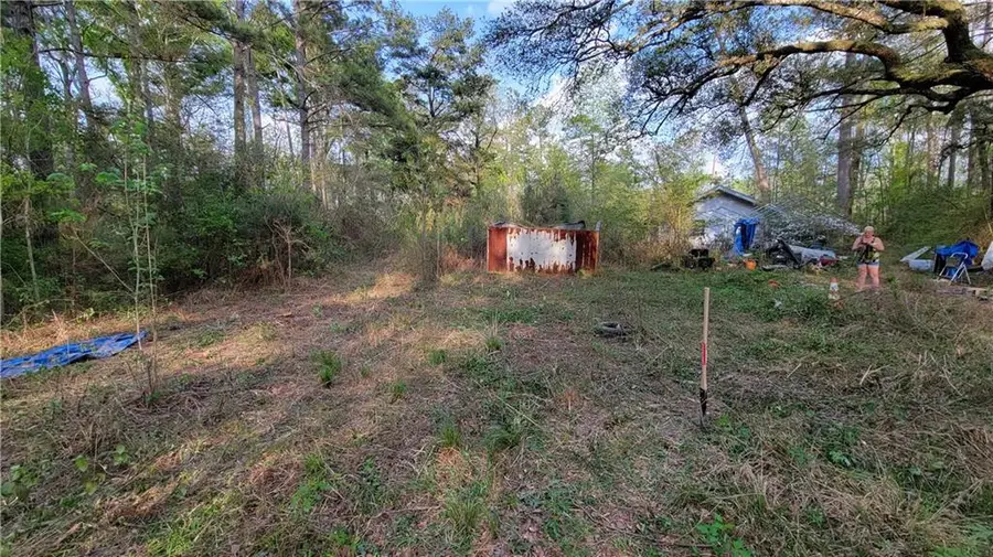 26140 Oak Alley Drive, Holden, LA 70744 - #2