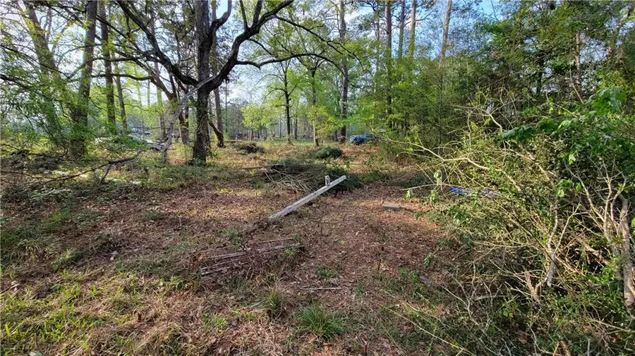 26140 Oak Alley Drive, Holden, LA 70744 - #3