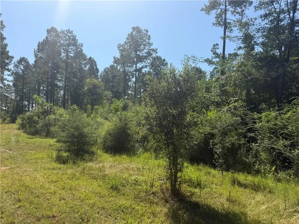 Crooked Creek Road, Kentwood, LA 70444 - #1