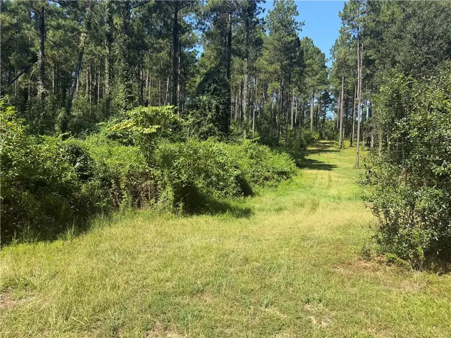 Crooked Creek Road, Kentwood, LA 70444 - #2