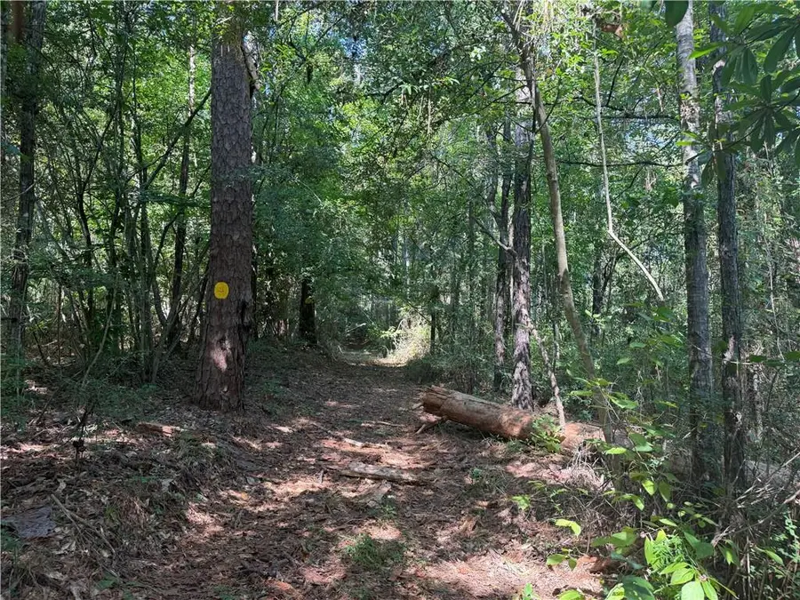 Crooked Creek Road, Kentwood, LA 70444 - #3