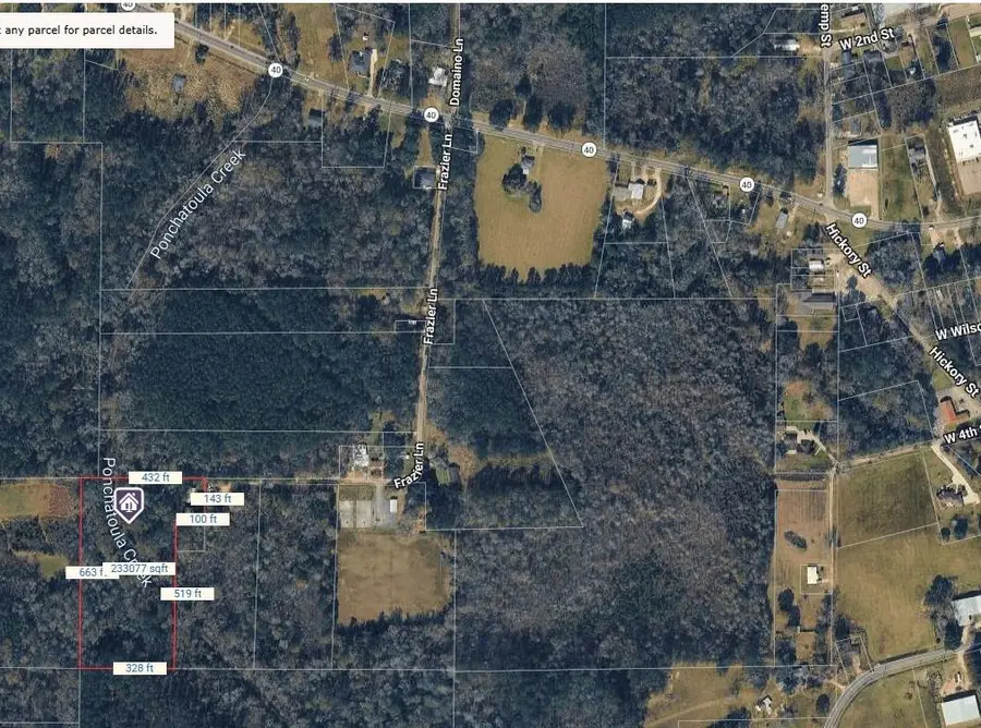 106 Frazier Lane, Independence, LA 70443 - #3