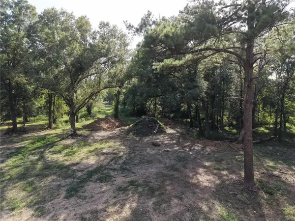 26331 S Satsuma Road, Livingston, LA 70754