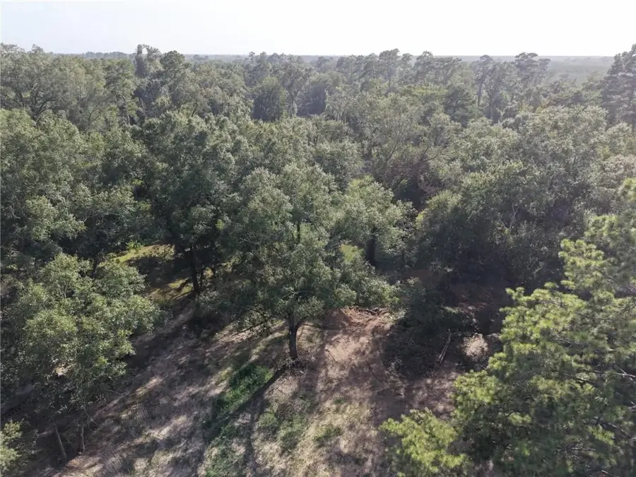 26331 S Satsuma Road, Livingston, LA 70754 - #3