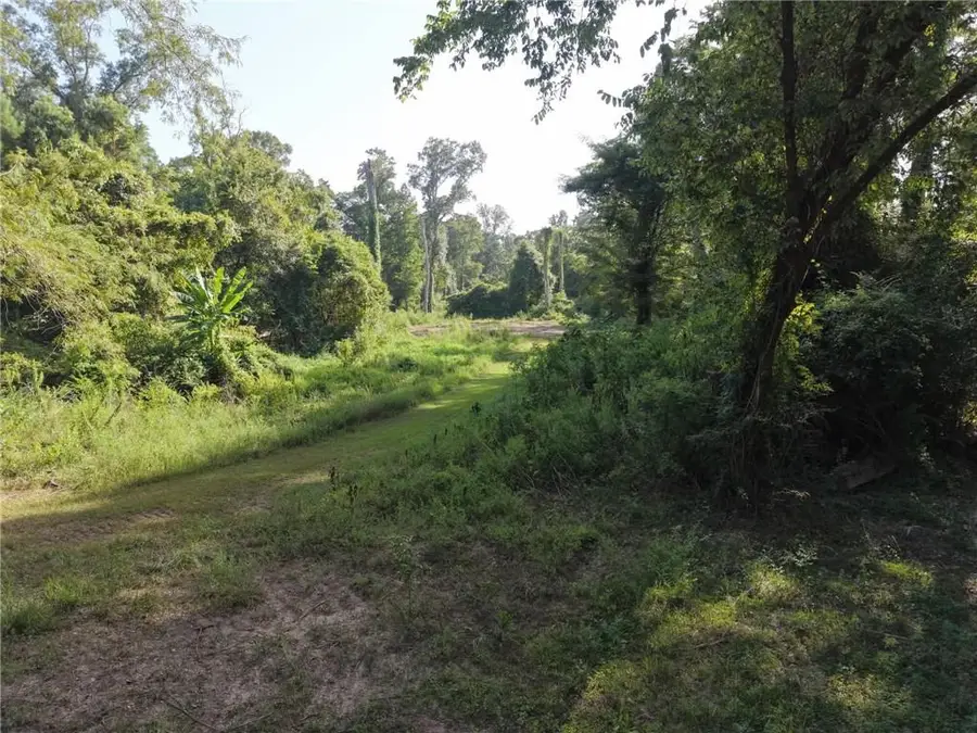 26341 S Satsuma Road, Livingston, LA 70754 - #3