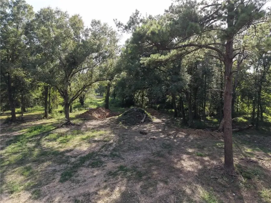 26351 S Satsuma Road, Livingston, LA 70754 - #2