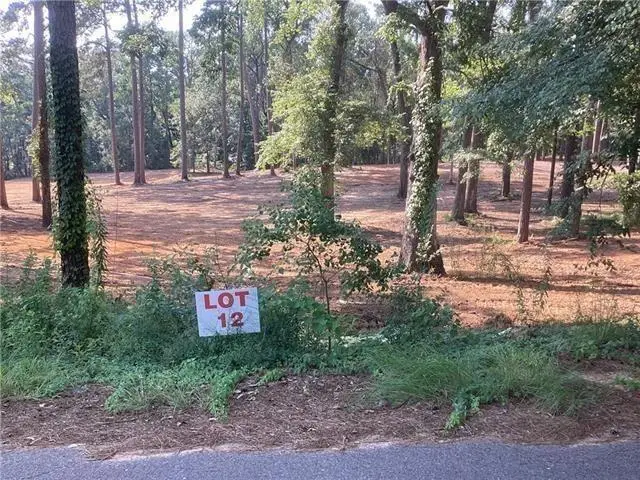 0 Amelia Lot 12 Lane, Boyce, LA 71409 - #1