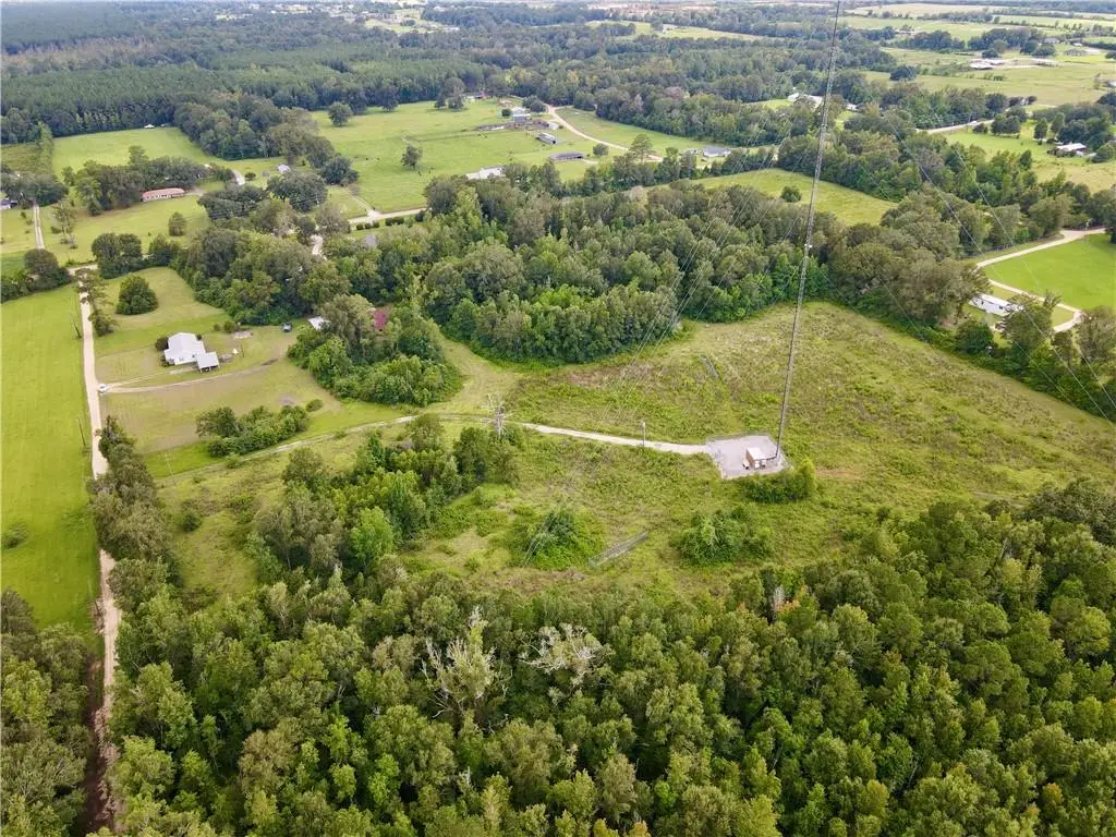 CW-3 Savoie Lane, Loranger, LA 70446 - #1