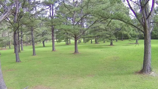 000 Thompson Lane, Carriere, MS 39426