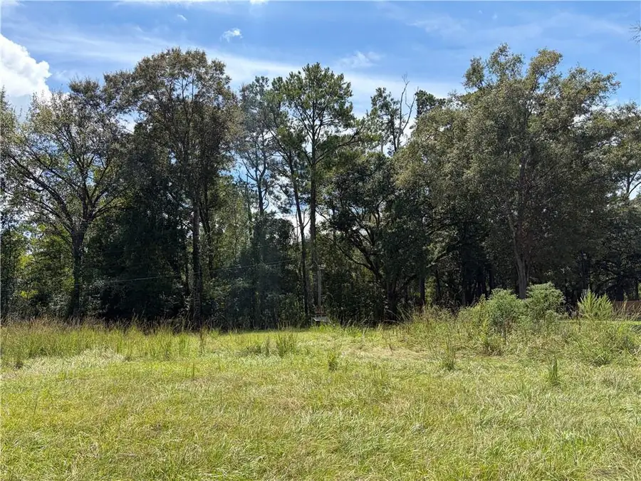 40219 Lot 2 N Thibodeaux Road, Ponchatoula, LA 70454 - #2