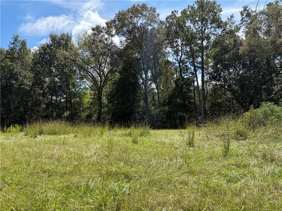 40219 Lot 2 N Thibodeaux Road, Ponchatoula, LA 70454 - #3