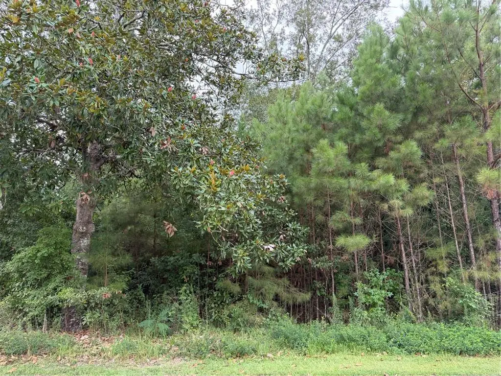 205 Belle Grove Court, Pearl River, LA 70452 - #1