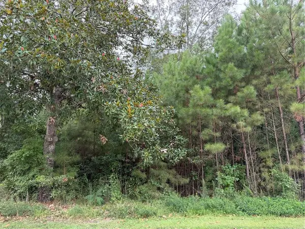 205 Belle Grove Court, Pearl River, LA 70452