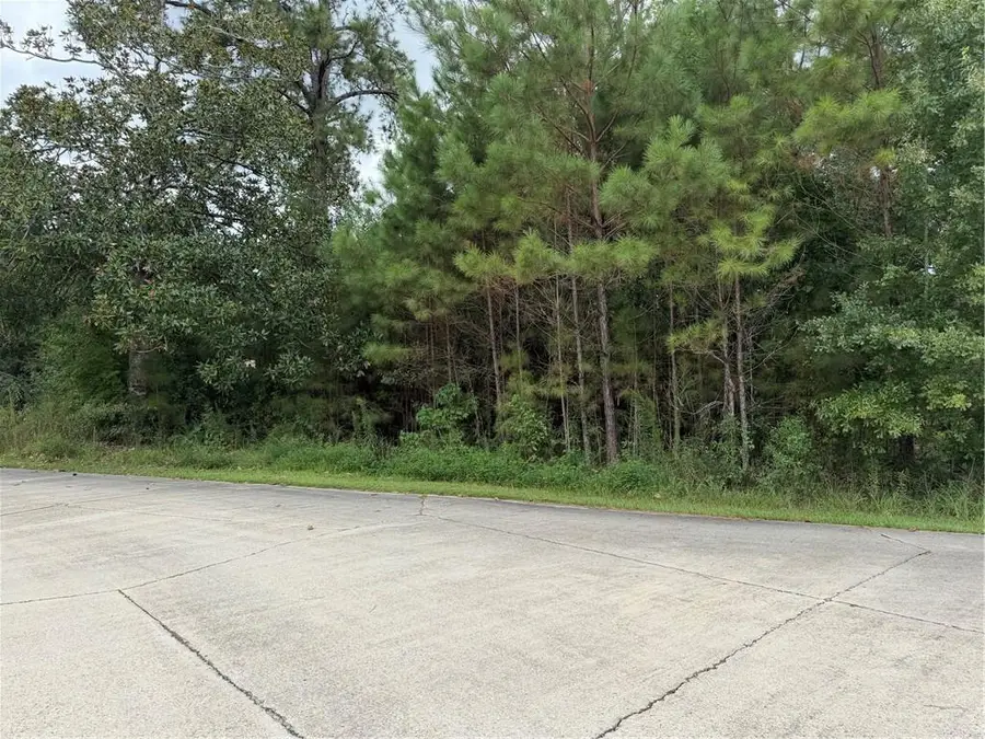 205 Belle Grove Court, Pearl River, LA 70452 - #2