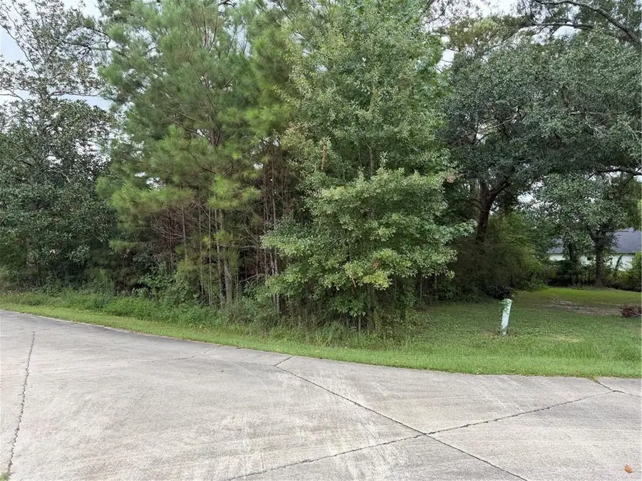 205 Belle Grove Court, Pearl River, LA 70452 - #3