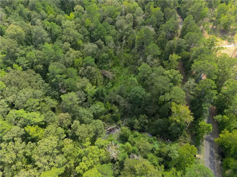 0 Miller Road, Boyce, LA 71409 - #3
