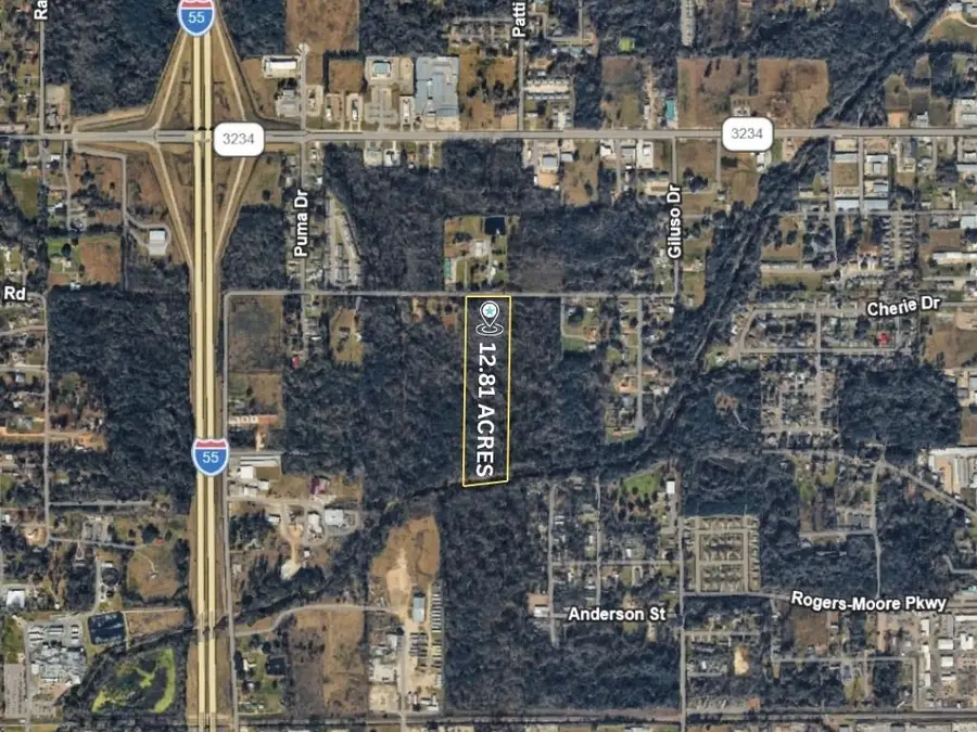 14222 Giluso Road, Hammond, LA 70401 - #2