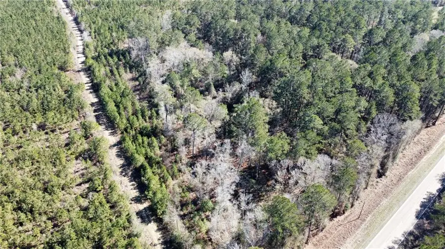 3 Acres Hwy 43 Highway, Independence, LA 70443 - #2