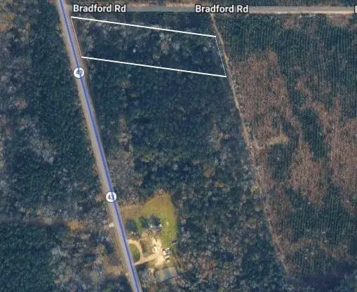 3 Acres Hwy 43 Highway, Independence, LA 70443 - #3