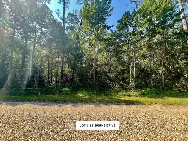 Lot #129 Burke Drive, Abita Springs, LA 70420 - #1